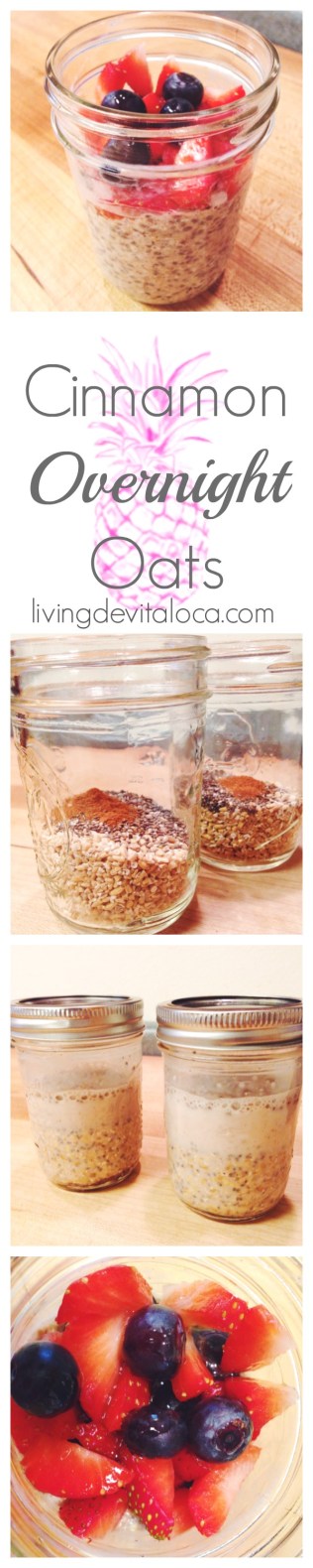 cinnamon overnight oats